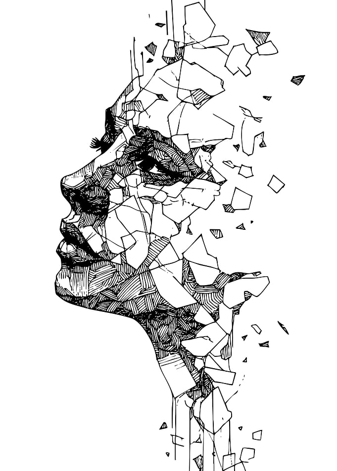 Shattered Profile Black and White Art