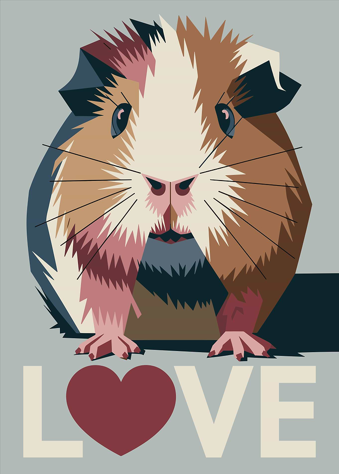 Guinea Pig Love Graphic Art