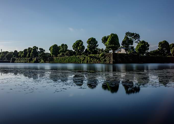 Moat and Trees Landscape