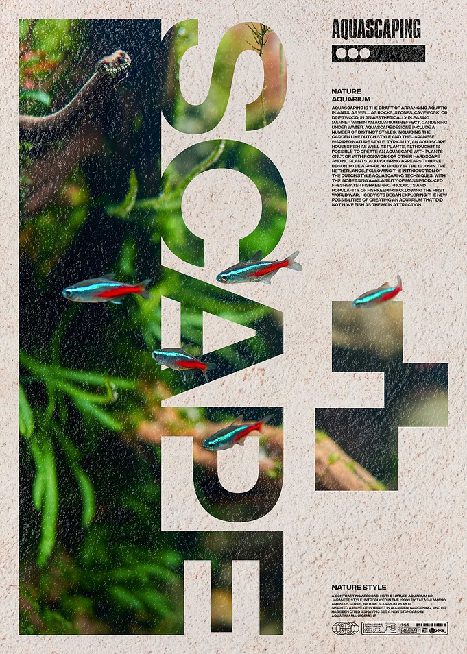 Aquascaping Aquarium Poster