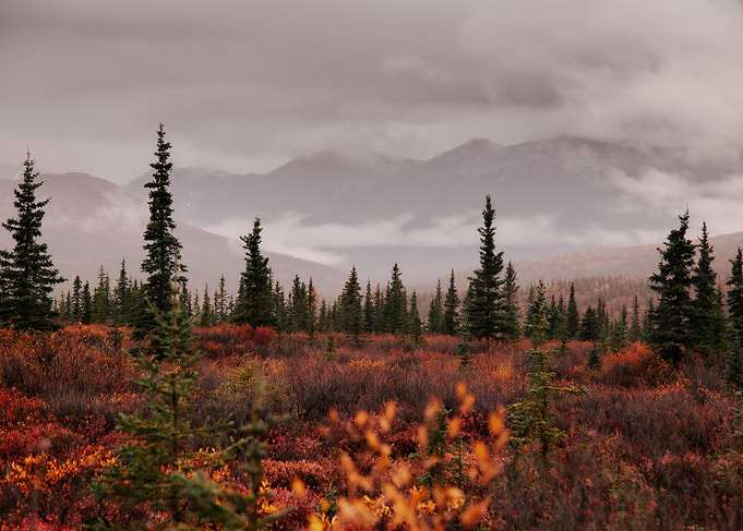 Autumn up North