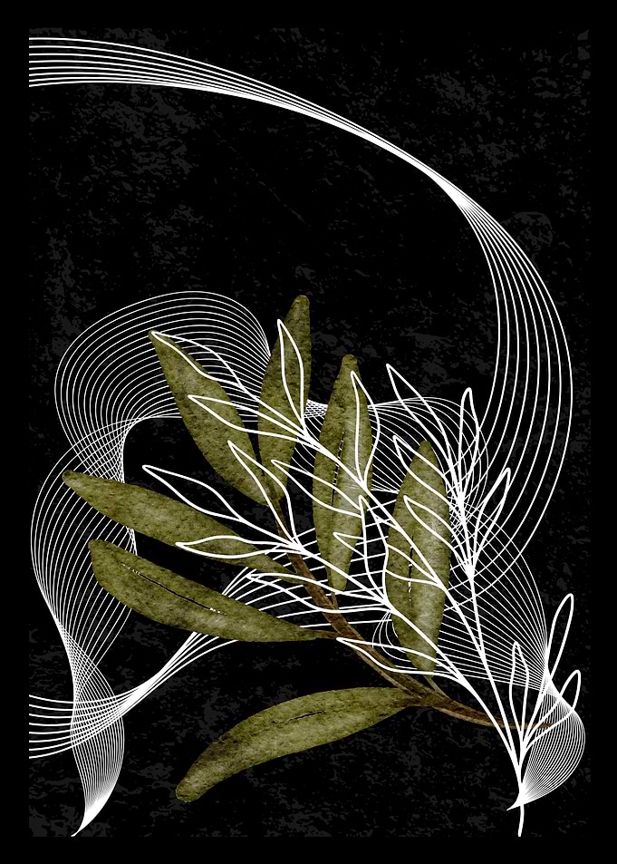 Olive Branch with Abstract White Lines