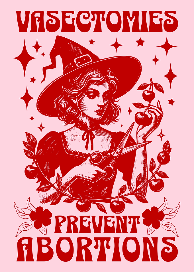 Vasectomies Prevent Abortions Witch Art