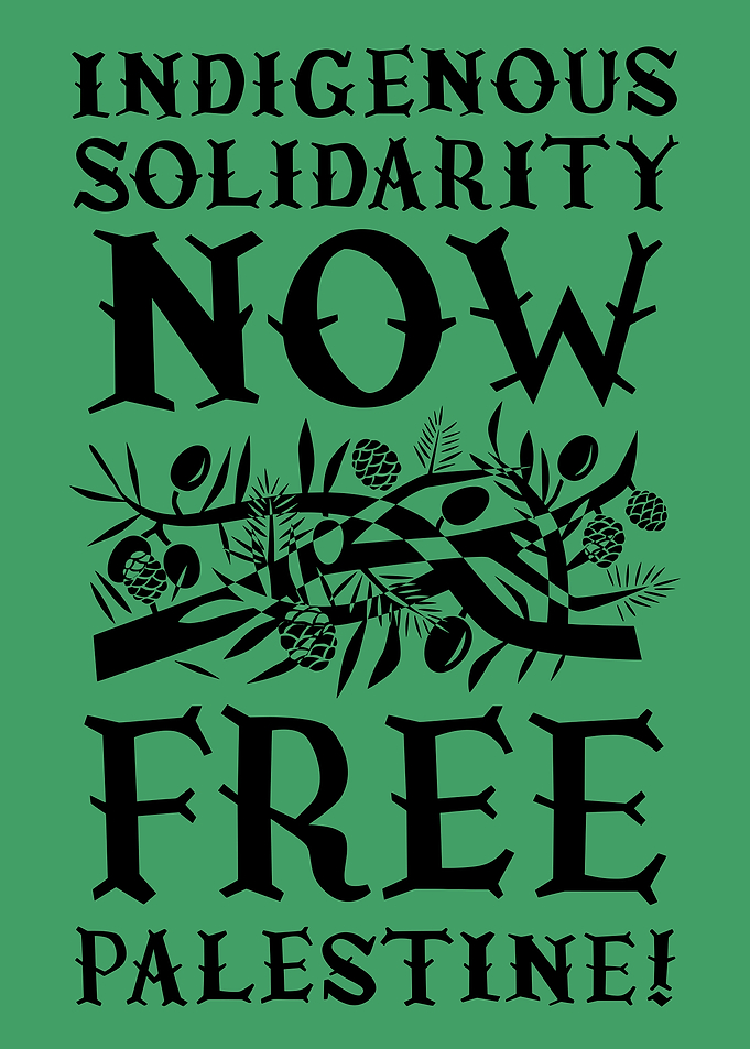 Indigenous Solidarity Now Free Palestine