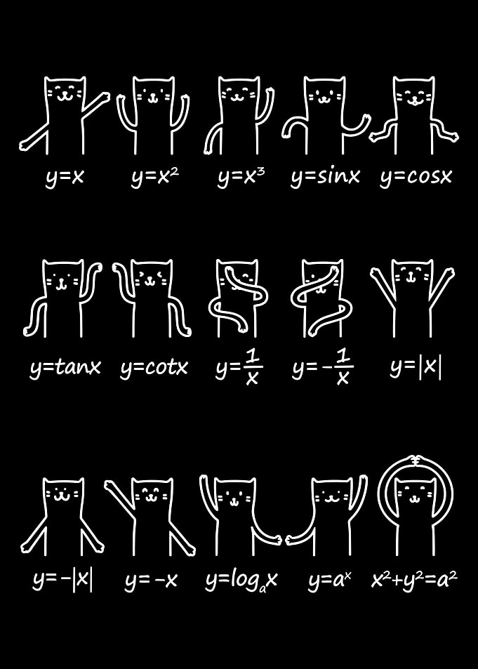 Mathematical Cats, mathematical function poster