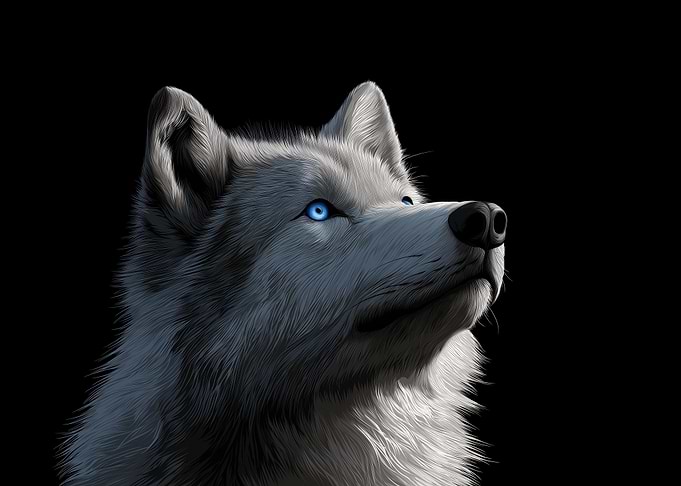 White Wolf with Blue Eyes