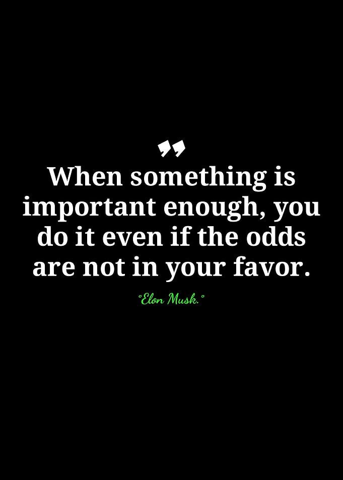 Elon Musk Inspirational Quote