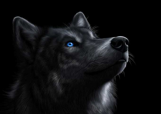 Wolf Portrait with Piercing Blue Eyes