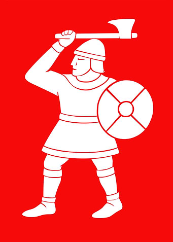 Fighting Man Anglo Saxon Harold Godwinson Banner Flag