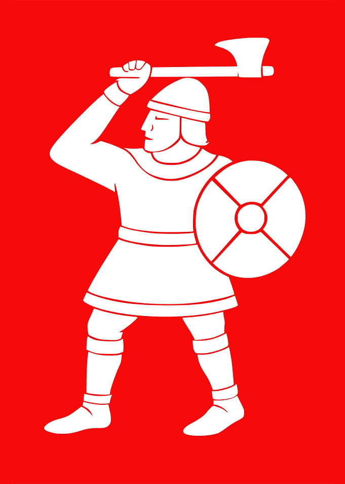 Fighting Man Anglo Saxon Harold Godwinson Banner Flag