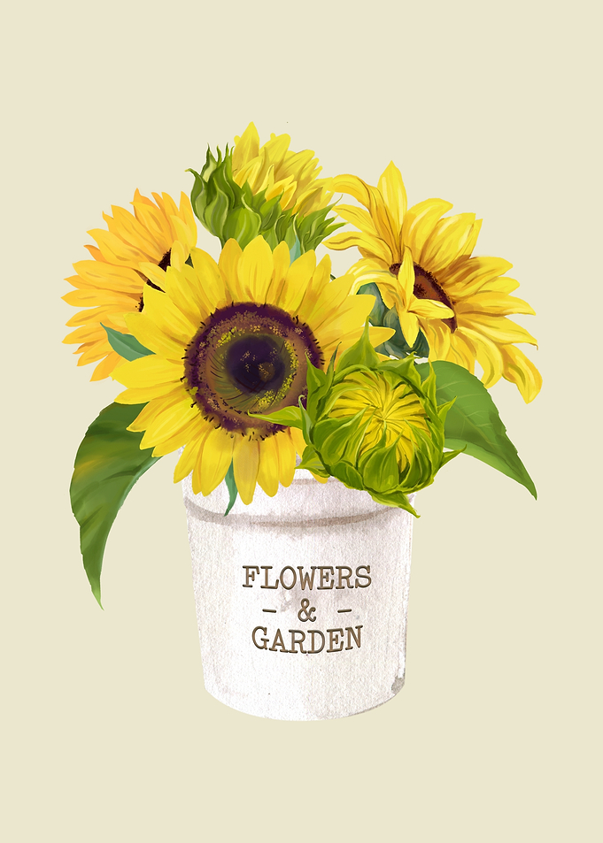 Sunflowers in a Pot