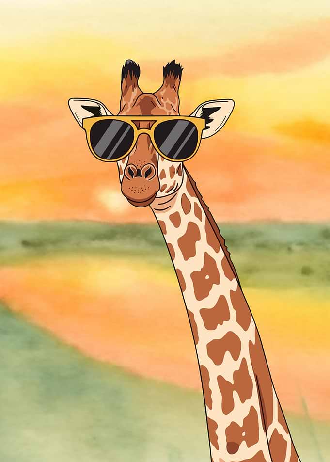Cool Giraffe