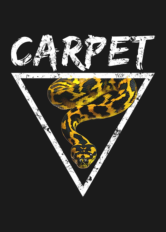 Carpet Python Reptile keeper