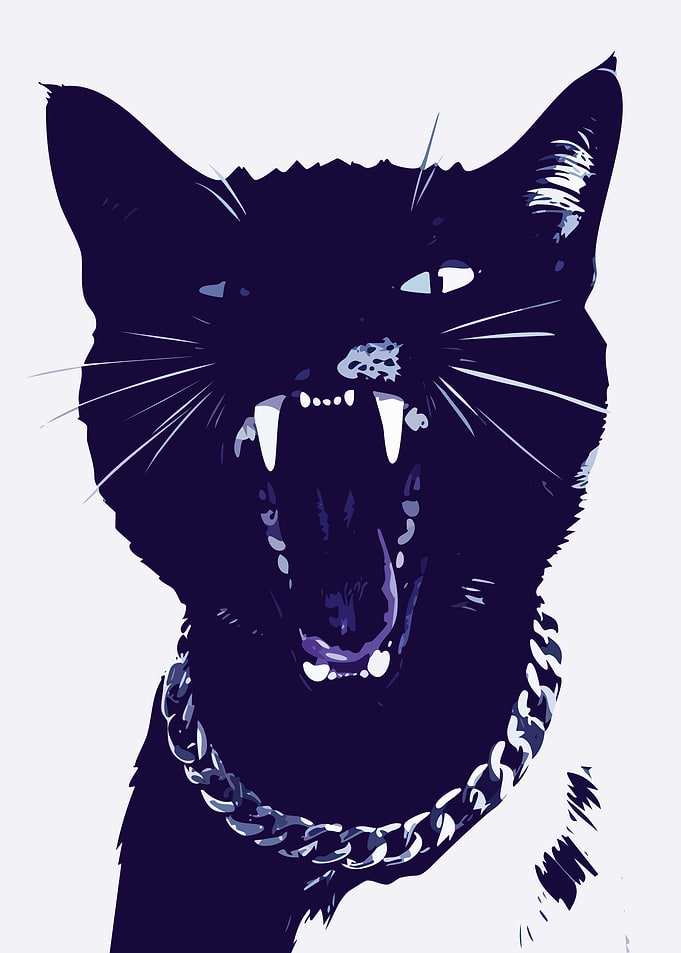 Angry Cat with Chain Necklace