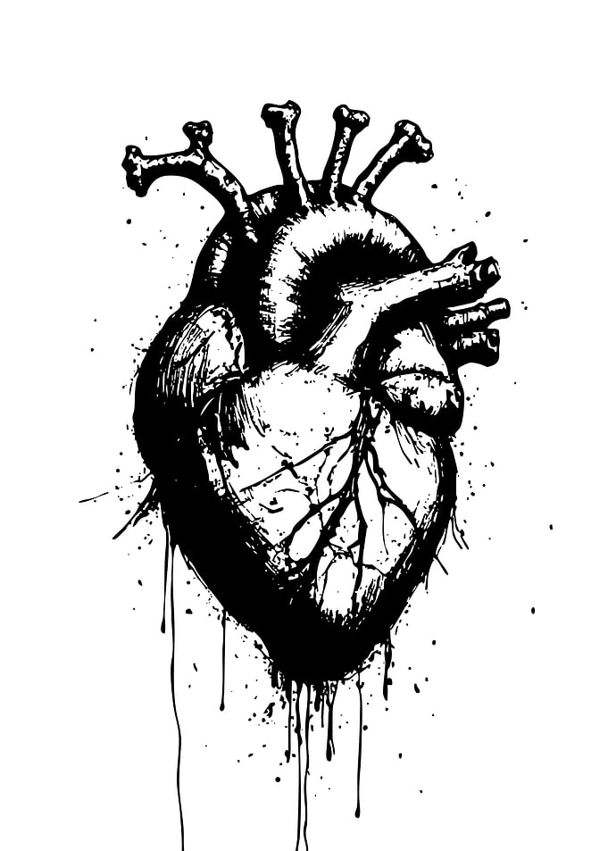 Anatomical Heart Black and White Art