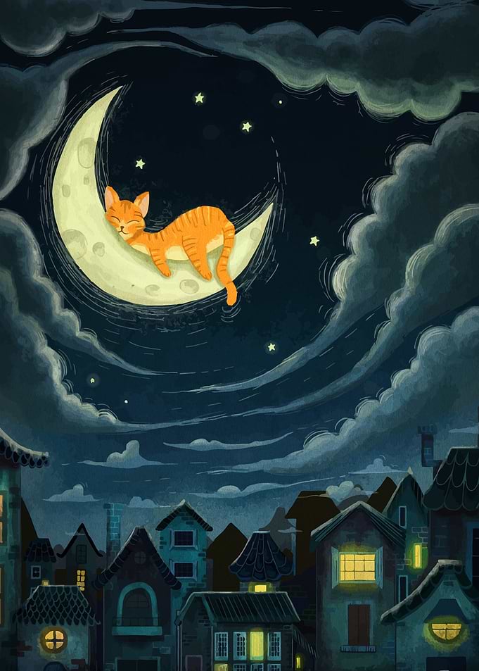 Cat Nap on the Moon