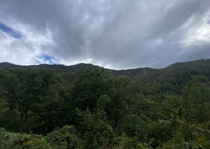 Overcast Mountain Forest Landscape