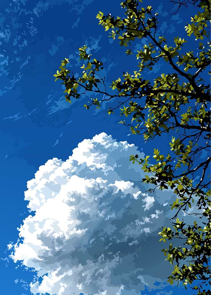 Blue Sky, Cloud, and Tree