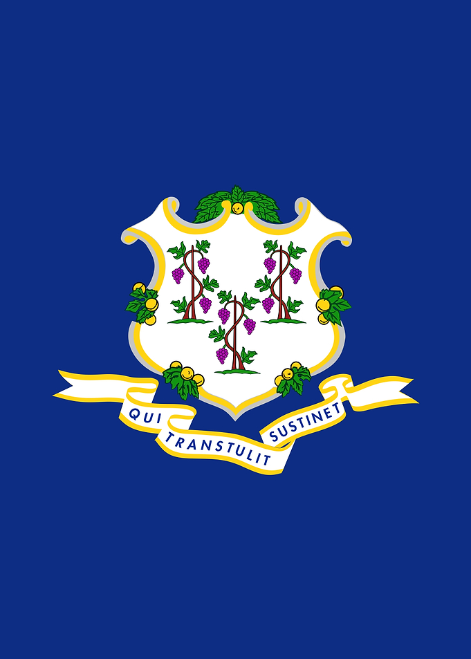 Connecticut State Flag