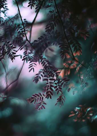 Abstract Leaves with Teal and Pink