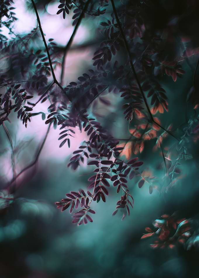 Abstract Leaves with Teal and Pink