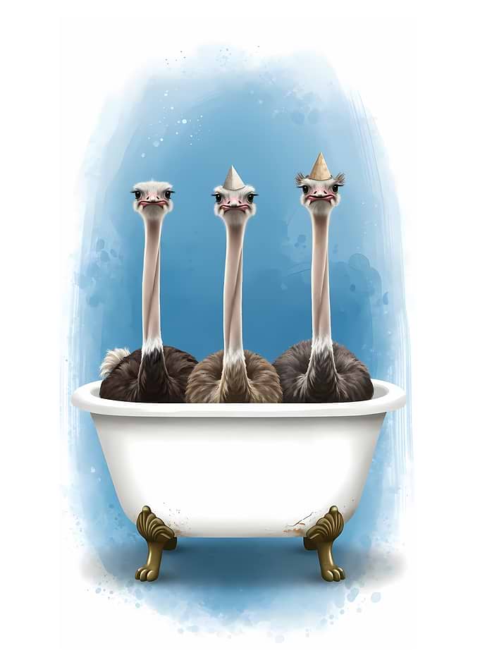 Ostriches in a bathtub with party hats
