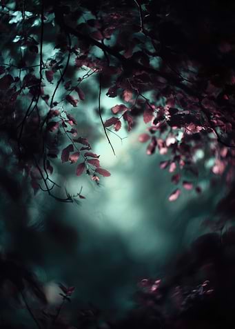 Mystical Forest Leaves