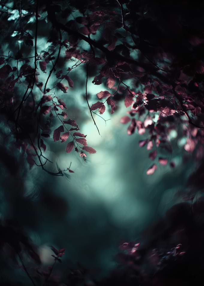 Mystical Forest Leaves