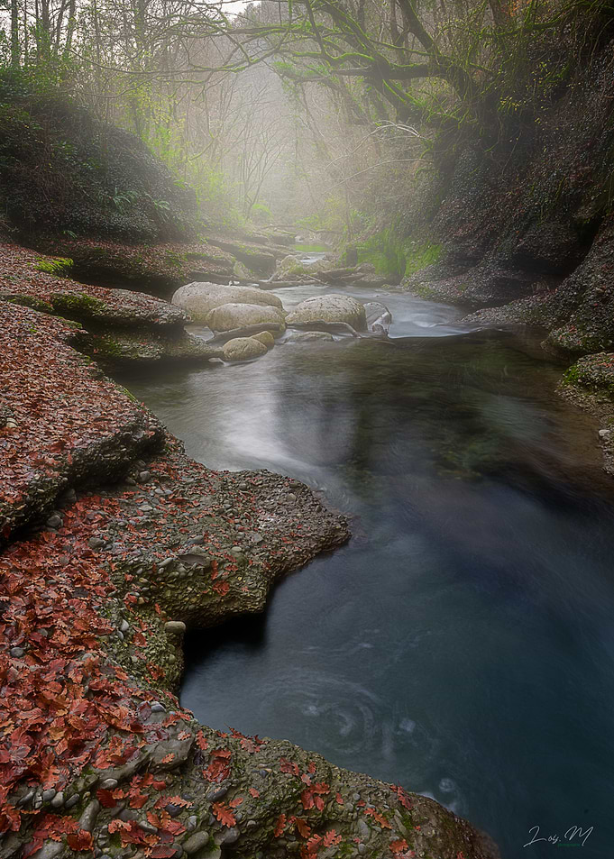 Misty River Through Forest Landscape