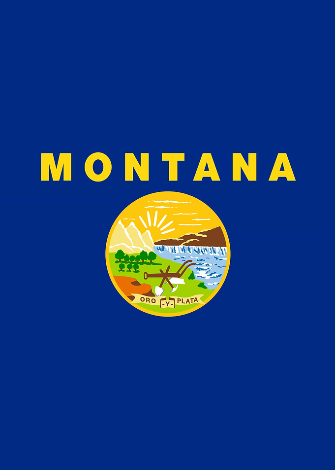 Montana State Flag