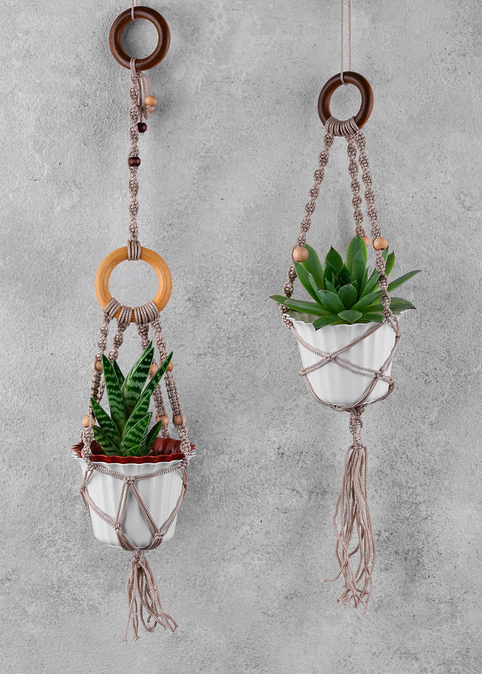 Macrame Plant Hangers with Succulents