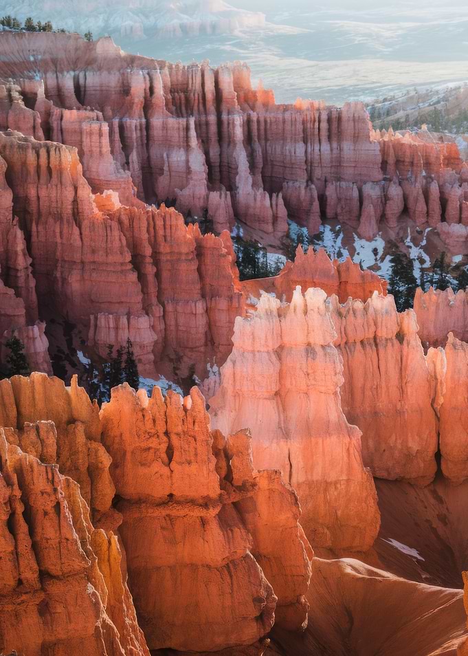Bryce Canyon National Park Landscape