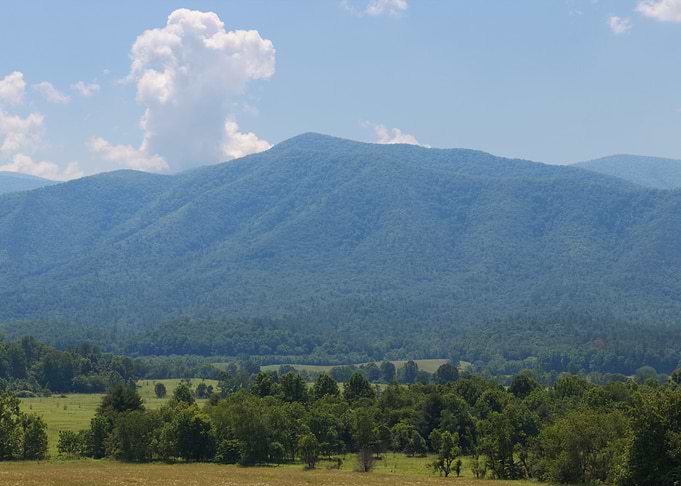 Mountain Landscape with Trees and Sky