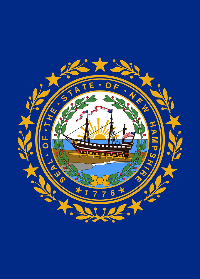 New Hampshire State Flag