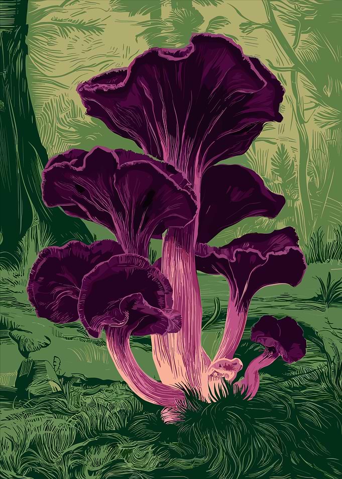 Purple Mushrooms in Forest Illustration
