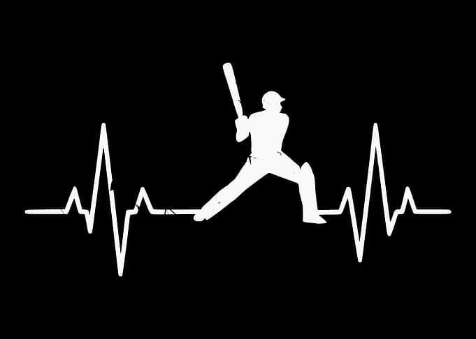 Cricket