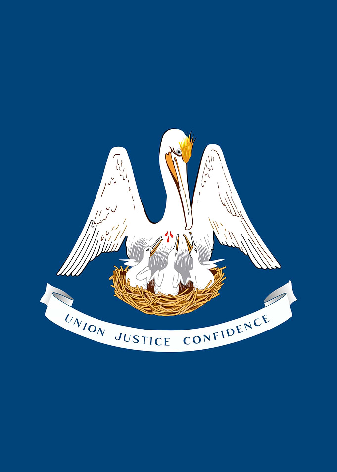 Louisiana State Flag