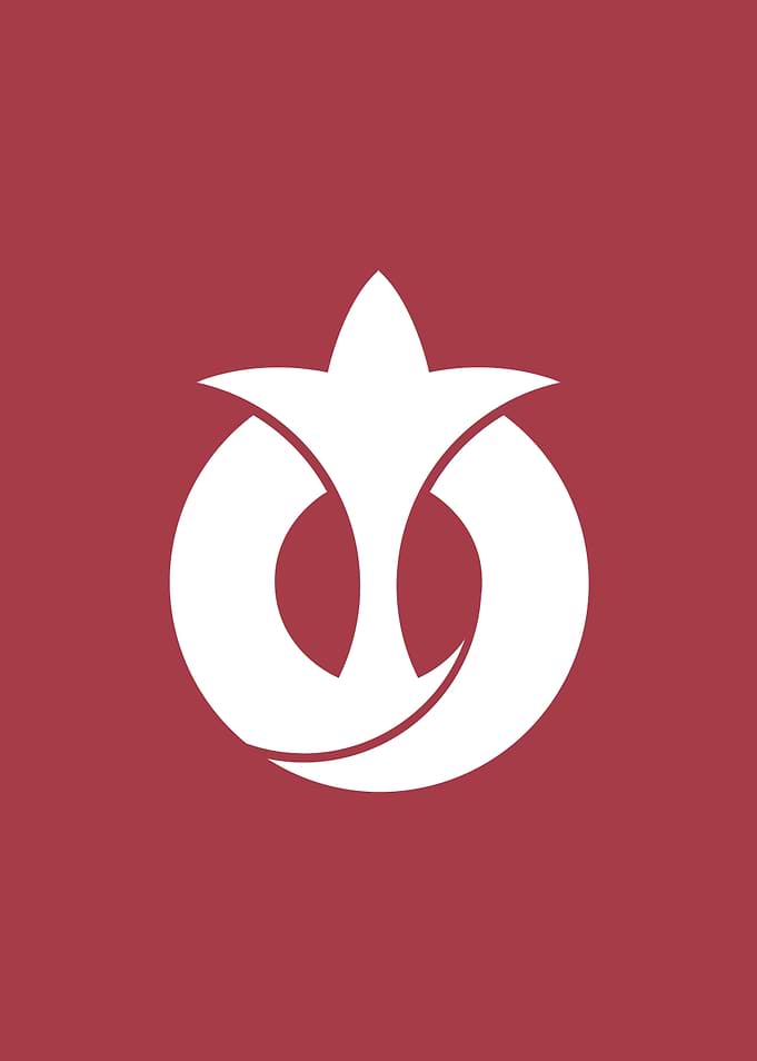 Aichi Japanese Prefecture Flag