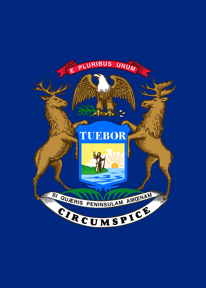 Michigan State Flag