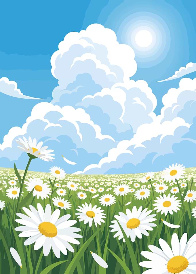 Daisy Field Under a Cloudy Sky