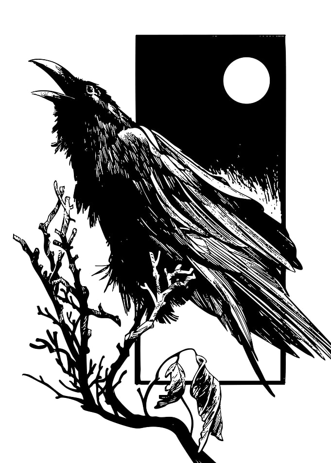Raven Perched Under Moonlight Illustration