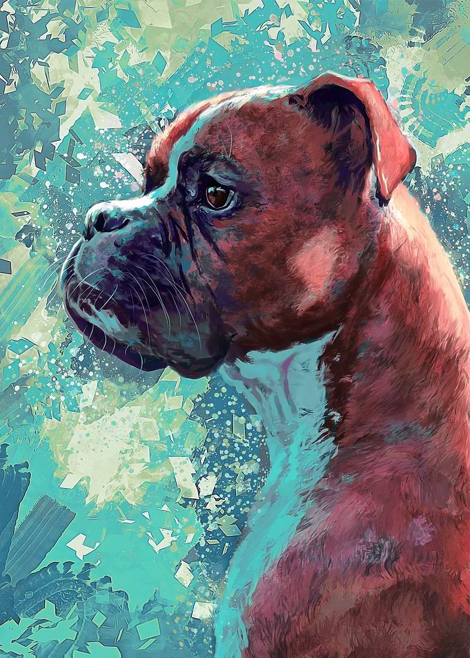 Boxer Dog Portrait