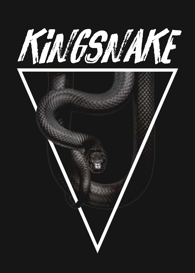 Mexican Black Kingsnake Reptile Keeper
