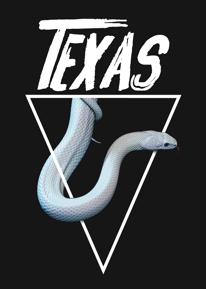 Texas Rat Snake Reptile Keeper