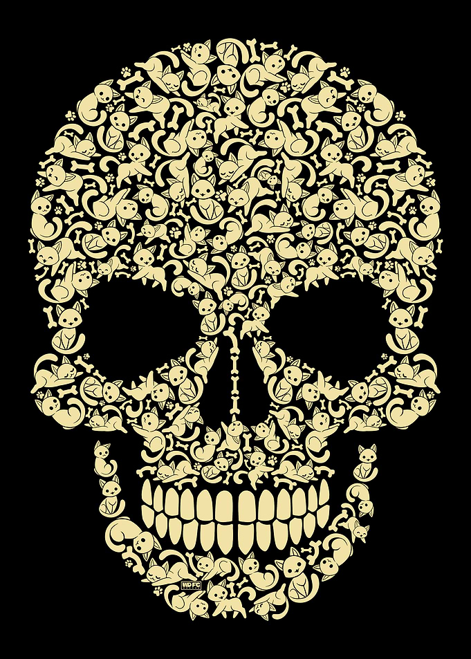 Cat Skull Illustration