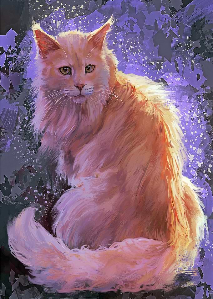 Maine Coon Cat Portrait