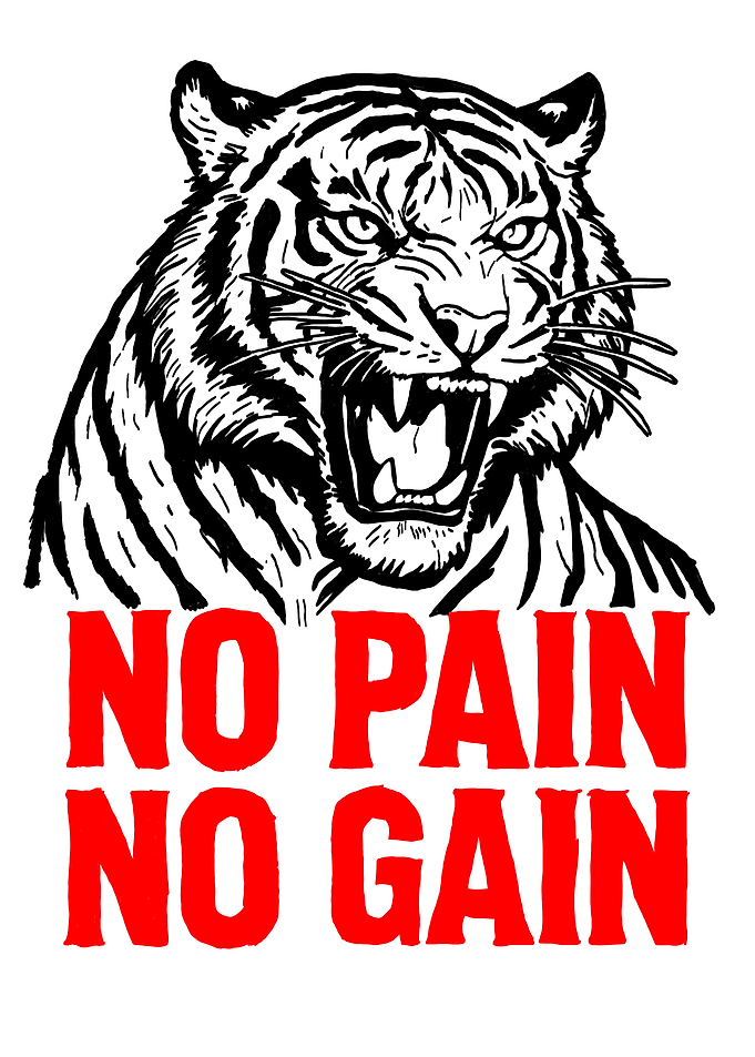 Tiger No Pain No Gain