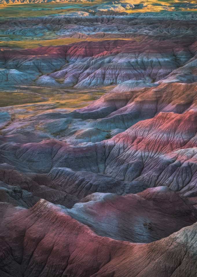 Desert Landscape