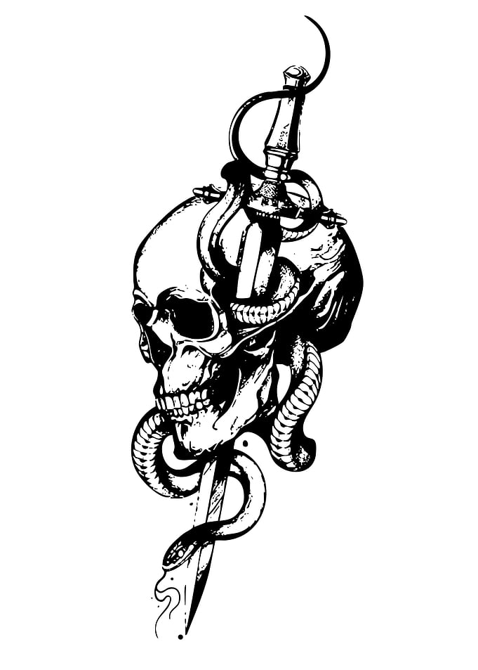 Skull, Snake, and Sword Illustration