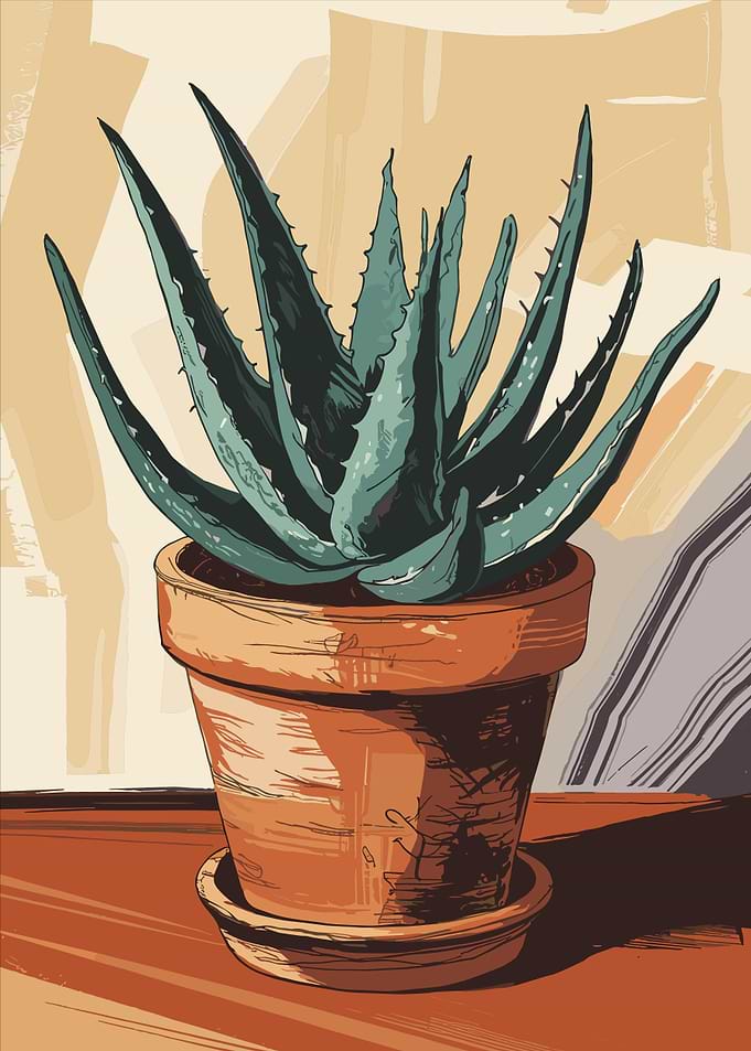 Aloe Vera Plant in Pot Illustration